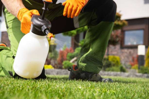 Wildlife Control Services in Massapequa, NY
