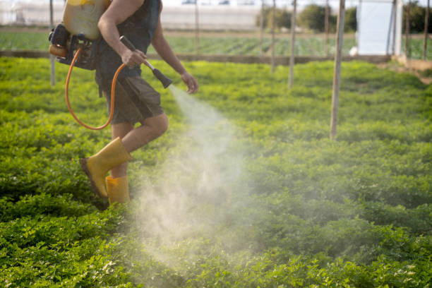 Best Pest Removal Services  in Massapequa, NY