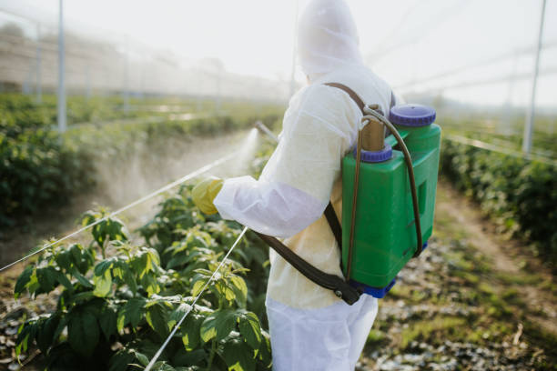 Best Pest Prevention Services  in Massapequa, NY
